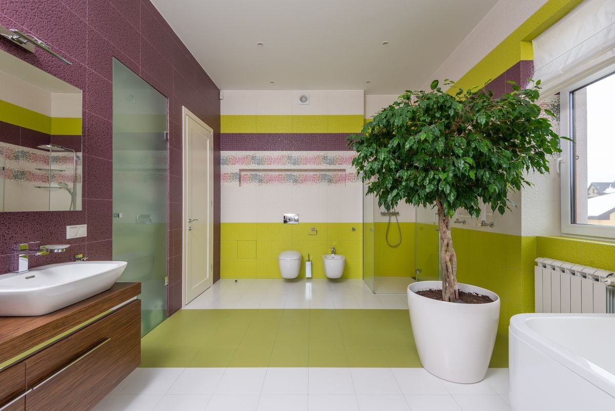 Spa-Inspired Bathroom, From Concept to Completion
