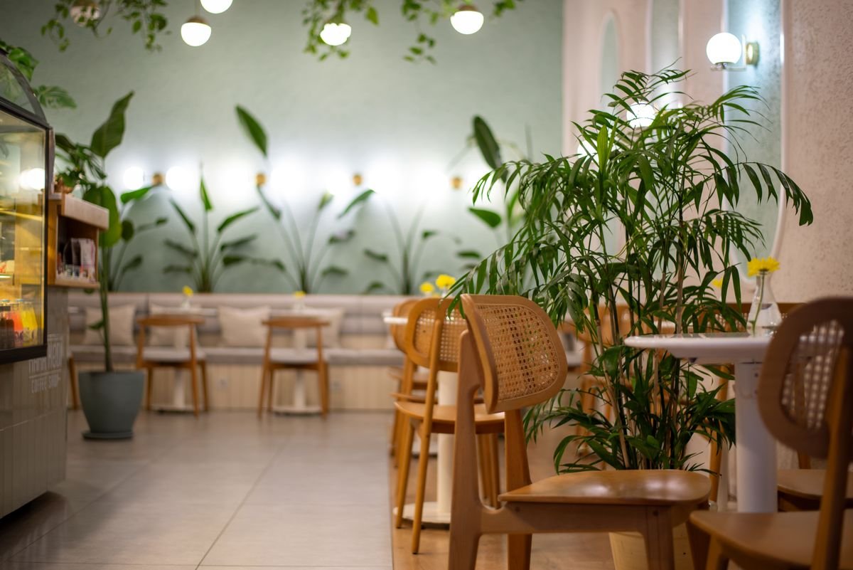 Green Botanical Caf&eacute; Corner with Cane Chairs