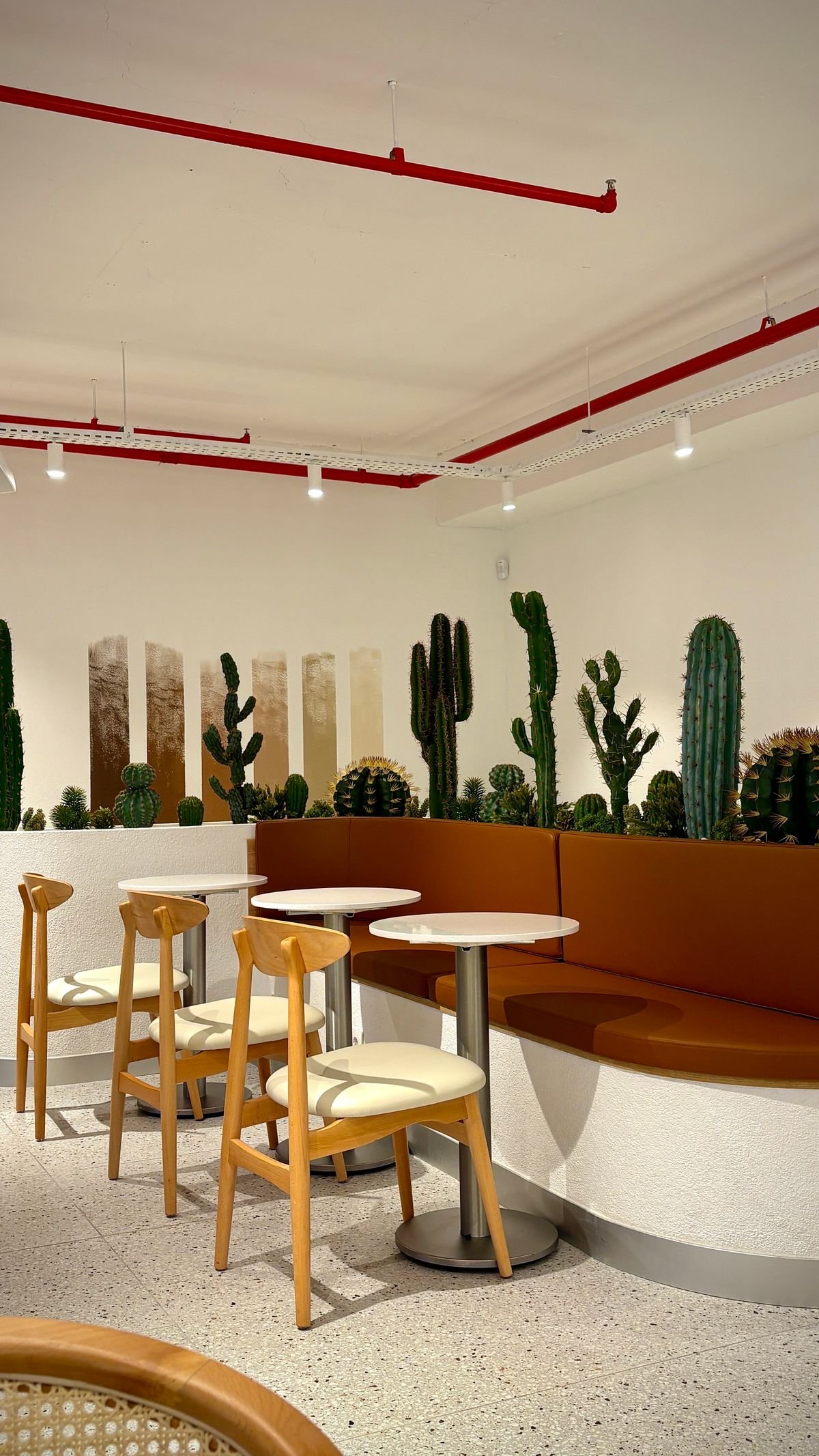 Desert-Themed Caf&eacute; with Cactus Wall and Terracotta Booths