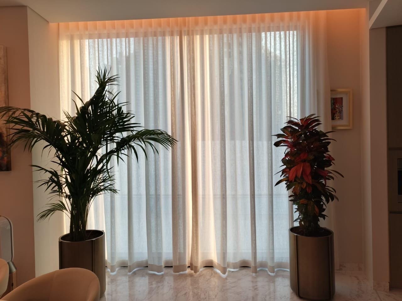 Sheer Curtains Framing a Plant-Filled Window